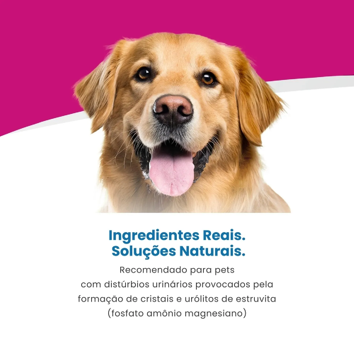 Ração Vet Life Natural Cães Adultos Urinary Struvite